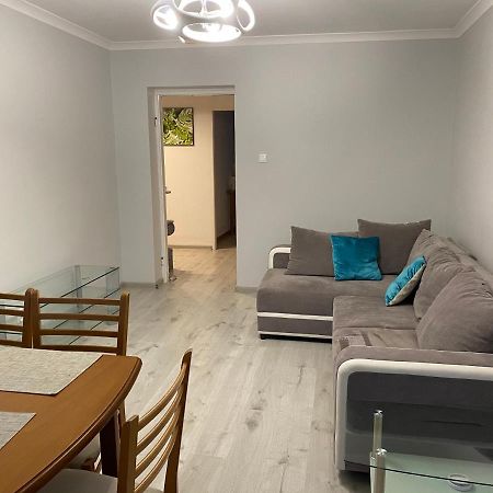 Apartament Przy Katedrze 고르주프비엘코폴스키 외부 사진